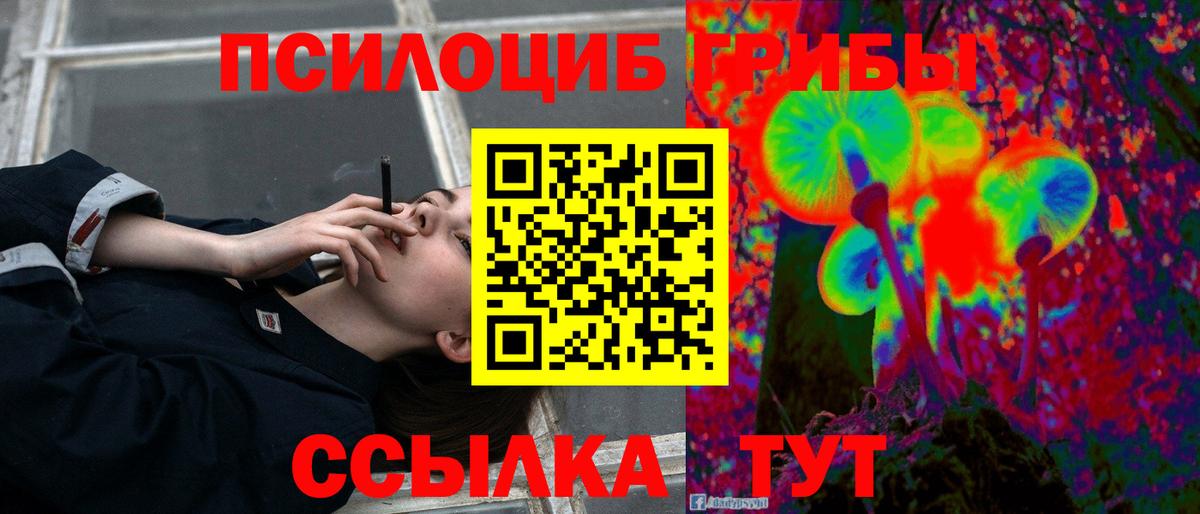Галлюциногенные грибы Psilocybine cubensis Кирово-Чепецк